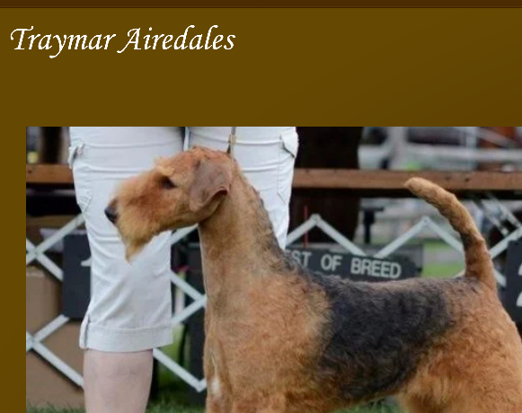 Screenshot 2023-07-07 at 09-30-09 Home – Traymar Terriers