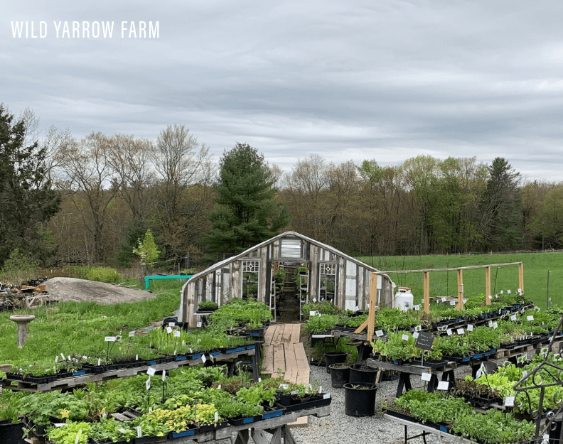 Screenshot 2023-07-07 at 20-19-14 Wild Yarrow Farm