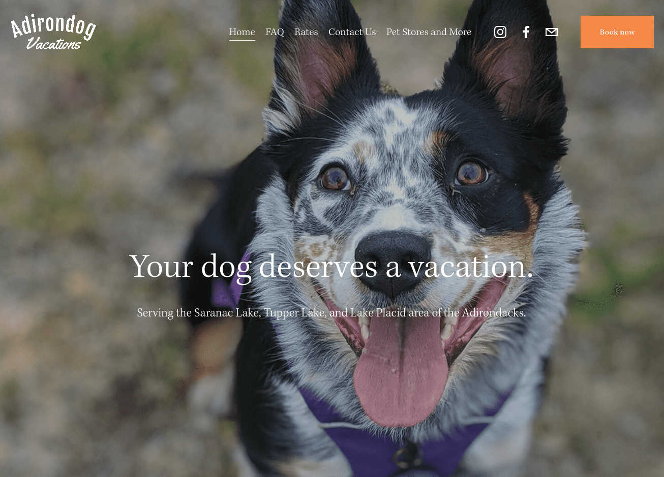 Screenshot 2023-07-10 at 16-41-42 Adirondog Vacations – Dog Boarding