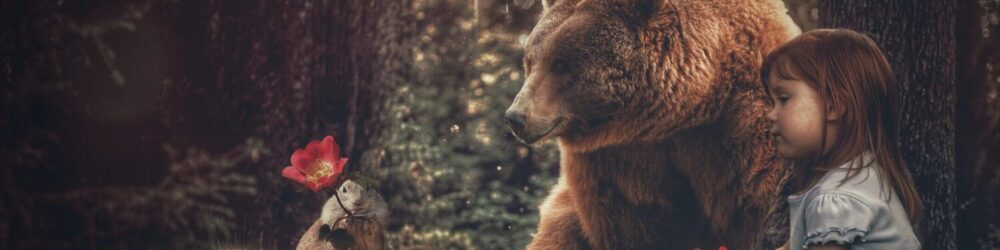 Header Image