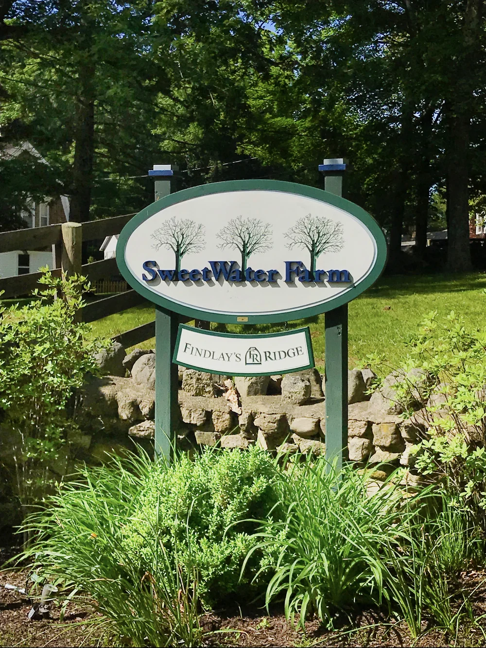 Photo+Jun+08,+4+26+21+PM