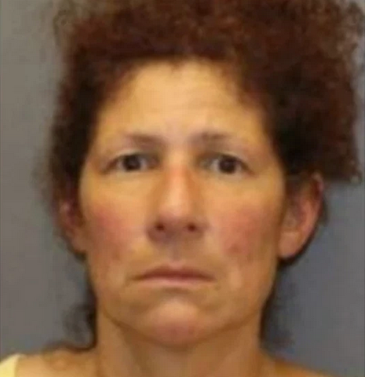 Screenshot 2026-03-22 at 16-33-30 French Bulldog’s death leads to felony charges for Halfmoon business owner