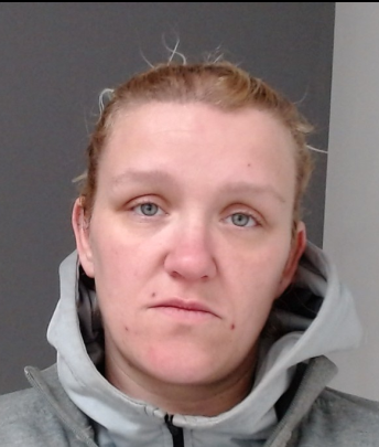 Screenshot 2026-03-22 at 18-14-50 Four charged in animal cruelty case after 15 pets found in ‘dire’ condition police say