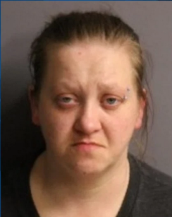 Screenshot 2026-03-28 at 22-15-31 Woman accused of withholding vet care in Minden animal neglect case