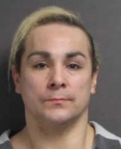 Screenshot 2026-03-28 at 22-26-02 Malta man charged with torturing and injuring animals after 2 dogs found in poor condition