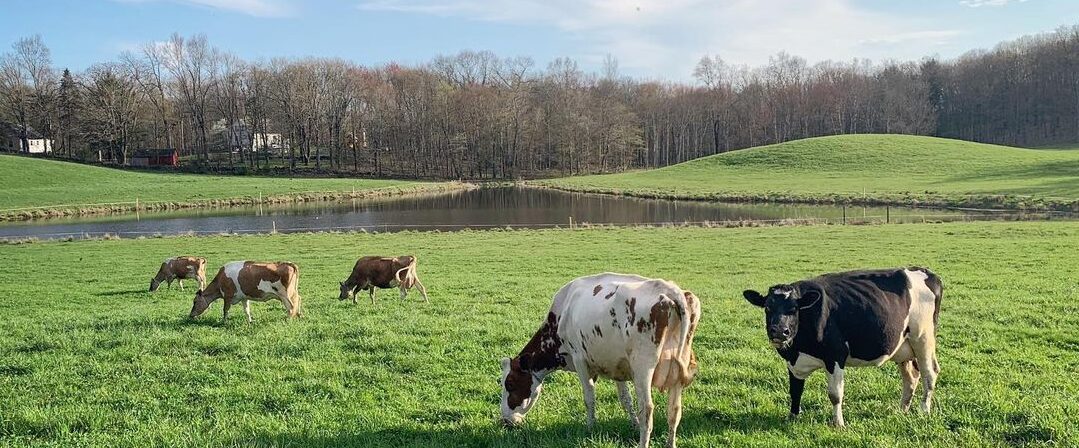 cropped-b59c1ce8a9a08452fd65e89f8eddd8d8-1