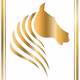 8048d5_e132667d7977417f957ffaa22fb35ca9~mv2