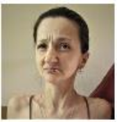 Screenshot 2026-04-05 at 14-12-35 Animal Abuser Registry Sullivan County NY