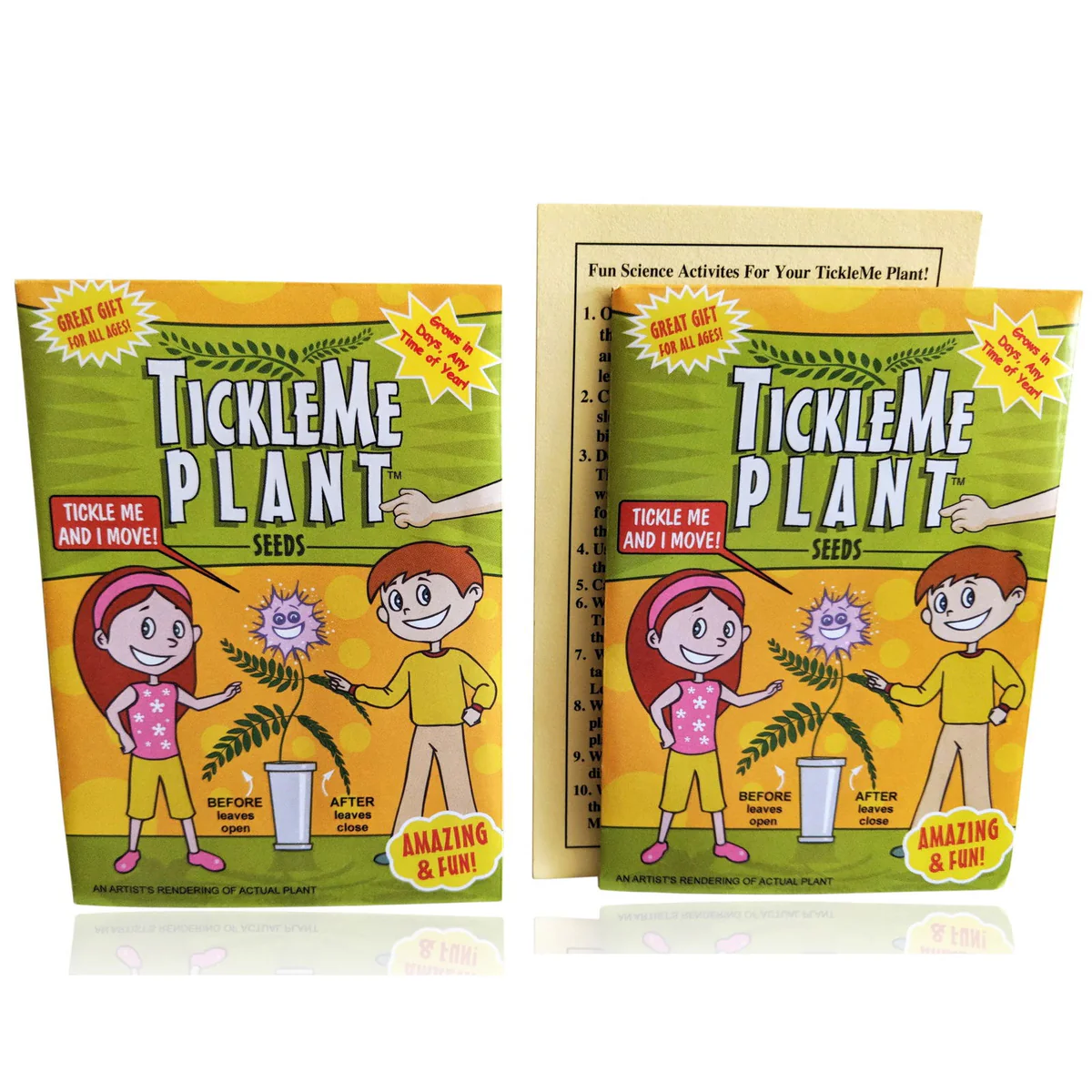TickleMe-Plant-Seed-Packets-2-Great-Birthday-Party-Giveaway-Leaves-close-when-you-Tickle-it-TickleMe-Plant-Company-Inc-6369