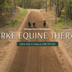 Burke Equine Therapy