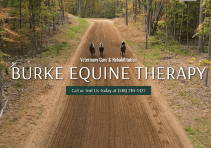 Burke Equine Therapy