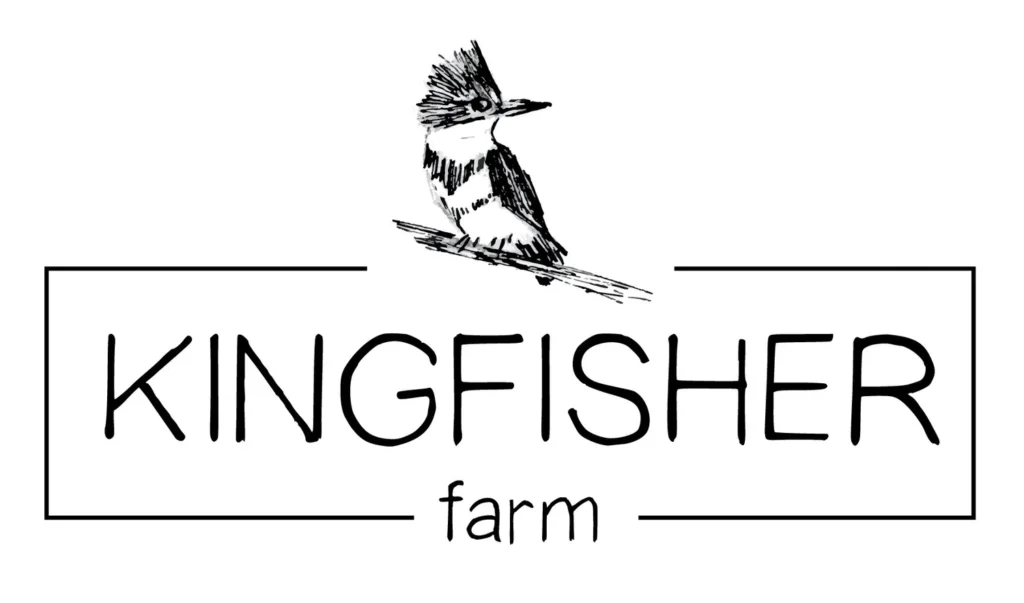 KF_KingFisher_Main_Logo_Black