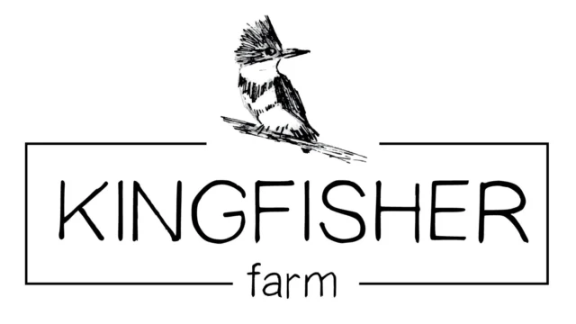 KF_KingFisher_Main_Logo_Black