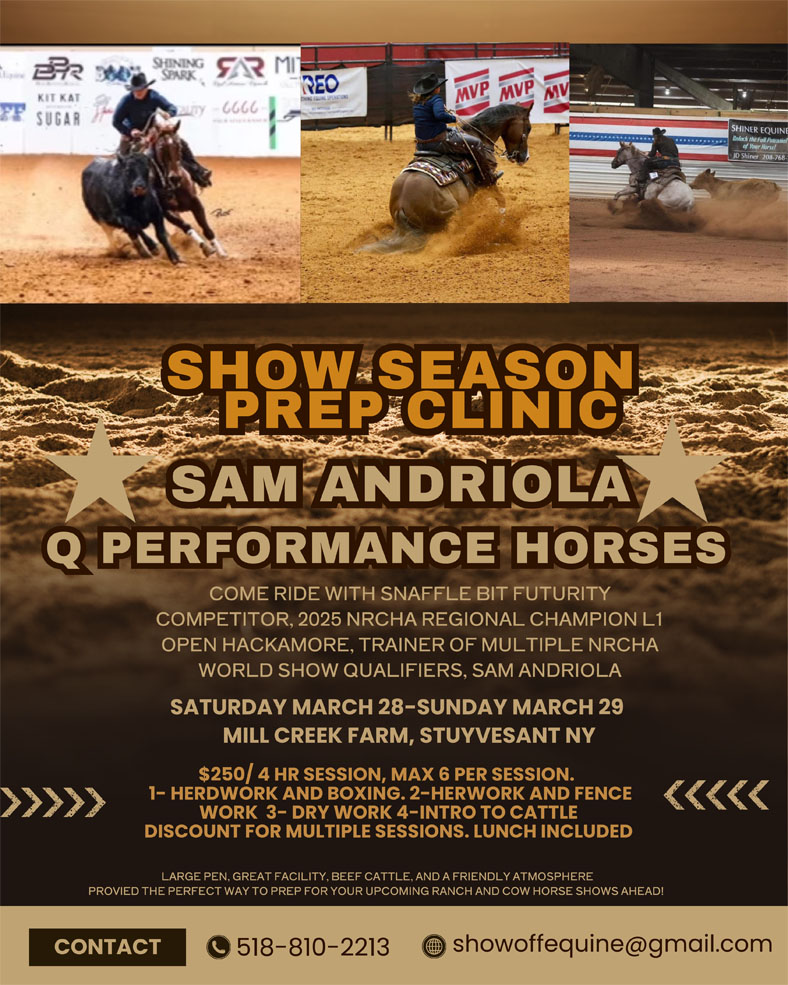 Brown and Gold Illustrated Rodeo Party Instagram Post