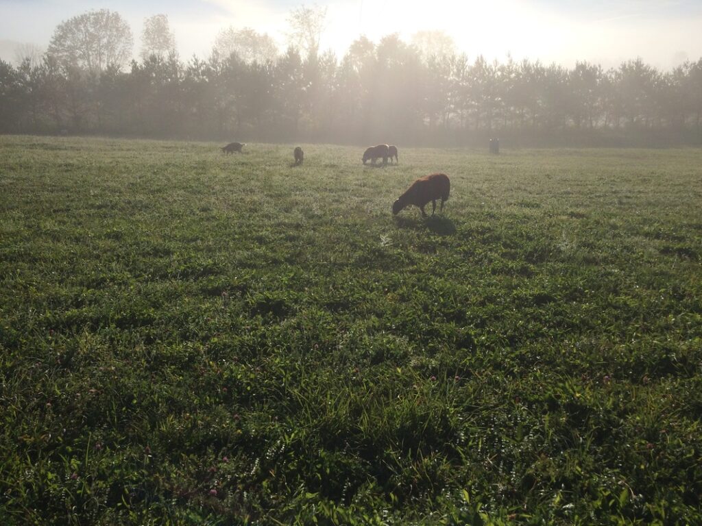 img-3134_orig
