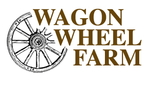 wwf-logo