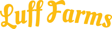 yellow-360_360x